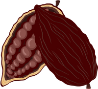 Heirloom Cacao